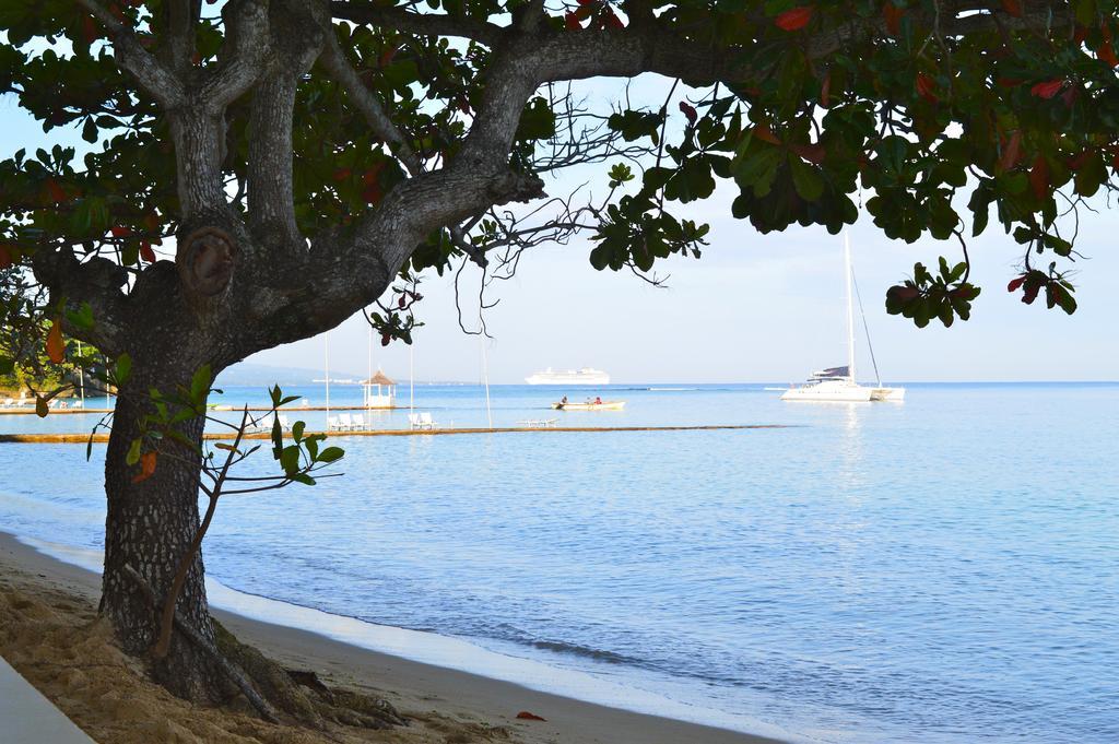 Kaz Kreol Beach Hotel Ocho Rios Exteriör bild