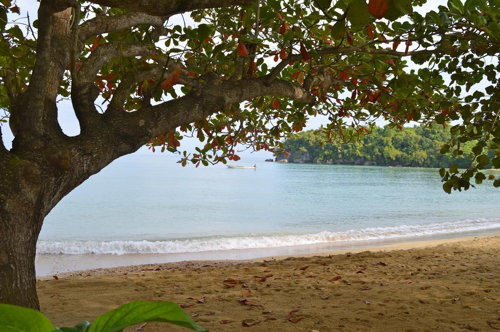 Kaz Kreol Beach Hotel Ocho Rios Exteriör bild